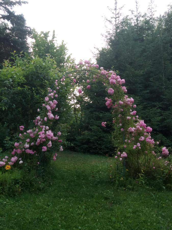 Apartmani Eho Zlatibor Buitenkant foto