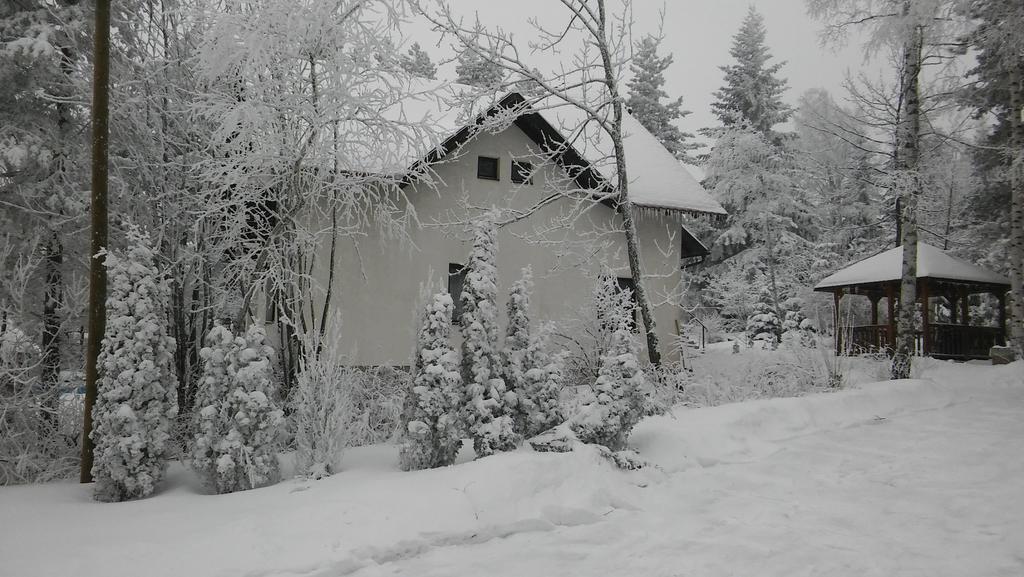 Apartmani Eho Zlatibor Buitenkant foto