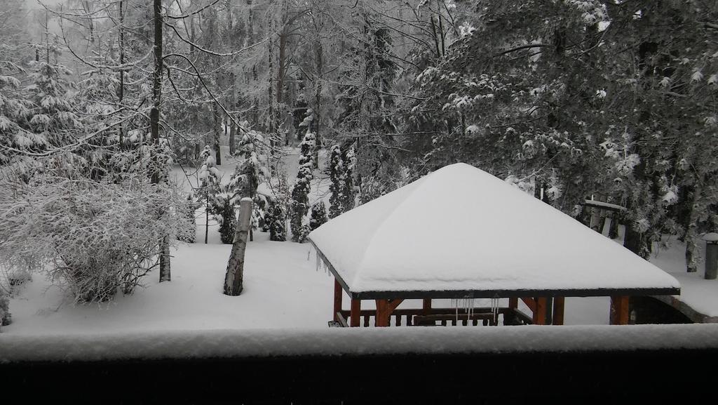 Apartmani Eho Zlatibor Buitenkant foto